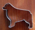 cookie cutter Australian Shepherd